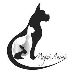Magni Animi s.r.o.