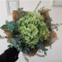 FlowerStars