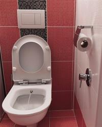 WC+bidet 2v1