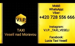TAXI V.I.P. VESELÍ NAD MORAVOU