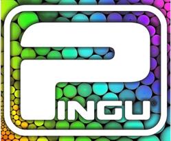Pingu Sport S.r.o.
