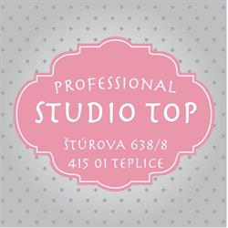 Professional studio TOP