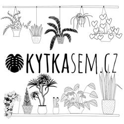KytkaSem