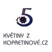 Pavla Kostohryzová - Květiny z Kopretinové