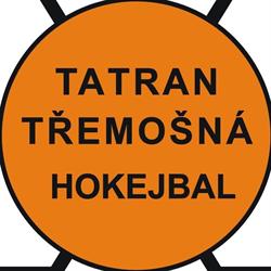 TJ Tatran Třemošná