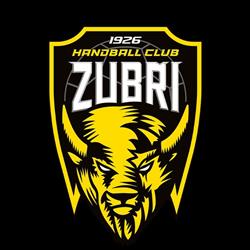 Valašský házenkářský klub, a.s.