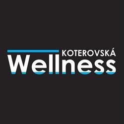 Koterovská wellness Plzeň Slovany