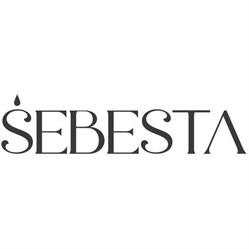 Vinařství Šebesta