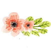 Květinářství Gerbera, JESENÍK