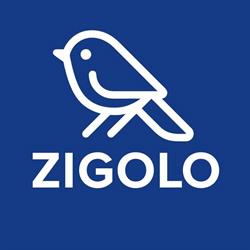 Zigolo Premium Ice Cream