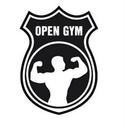 Open Gym Training