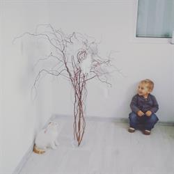 PET Heaven - zvířecí krematorium Chodov u Karlových Varů