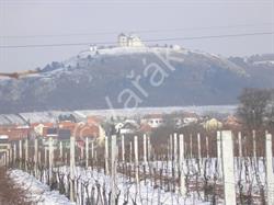 Biohrozny.cz