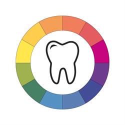 Dentální hygiena - Anežka Horáková, DiS.