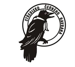 Junák - český skaut, středisko Černého havrana Chlumec nad Cidlinou