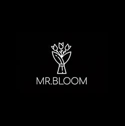 Mr.Bloom