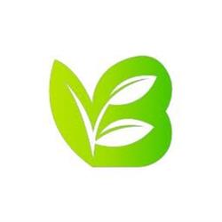 VB Green
