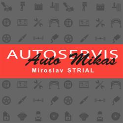 Miroslav Strial Automikas, autoservis, dekarbonizace