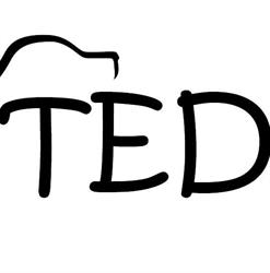 Salon TED