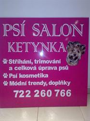 psi salon ketynka