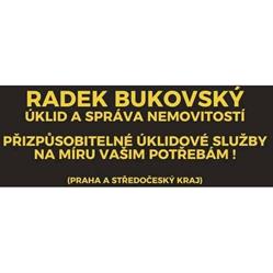 Radek Bukovský