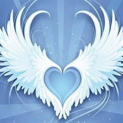 Angel's Studio