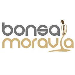 Bonsai Moravia