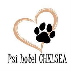 Psí hotel Chelsea