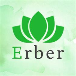 Libor Erber - CSOErber