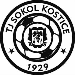 TJ Sokol Kostice