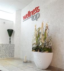 Studio WellnessTop
