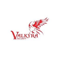 Valkýra Security s.r.o.