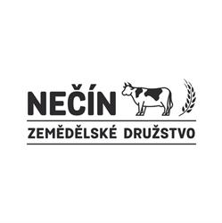ZD Nečín, Ředitel