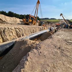 Lektorská činnost