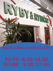 Ryby rybičky