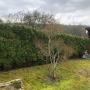 # 11