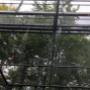 Instalace rozmlžovacích trysek do horní části ptačí voliéry