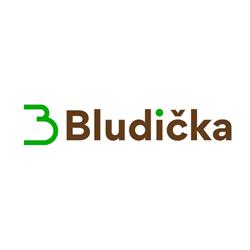 Penzion Bludička