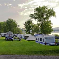 Camping Olšina