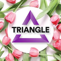 Triangle Recruitment s.r.o.