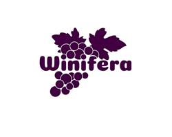 Penzion Winifera