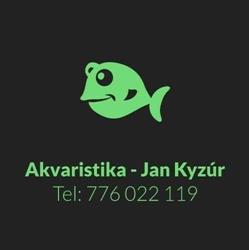 Jan Kyzúr - Akvaristika