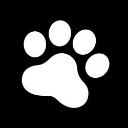 BlackDog Praha