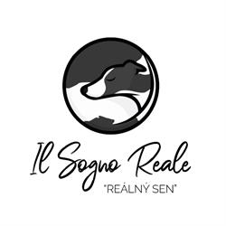 IL SOGNO REALE