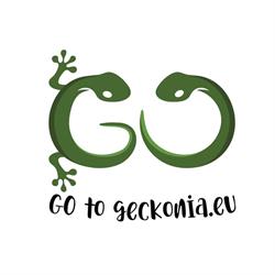Zvířecí svět Geckonia