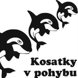 Kosatky v pohybu