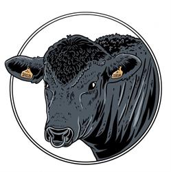 Mitrovsky Angus
