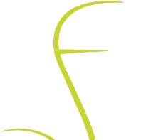 Financial Sense s.r.o.