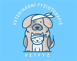 VetFyz