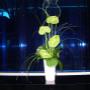 Green Interiors s.r.o.